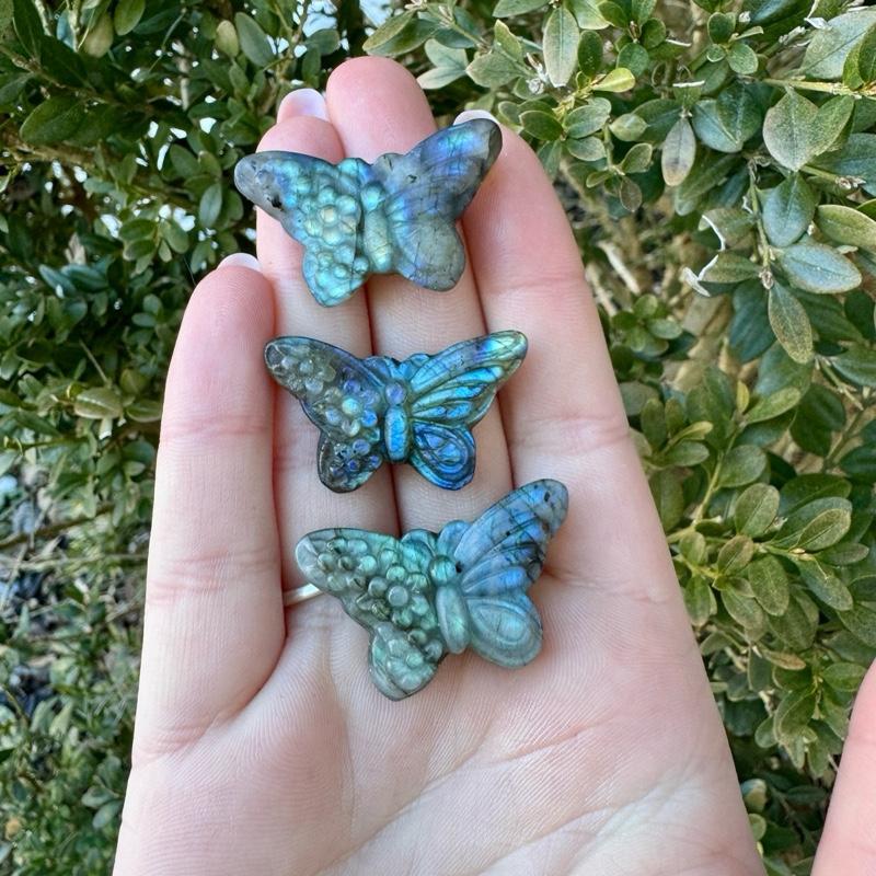 One Labradorite Carving| Fairies| Pegasus| Butterflies