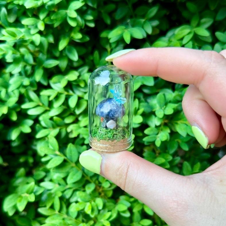 Mini Butterfly Crystal Mushroom Terrariums| Choose Your Mushroom With Matching Butterfly Decor