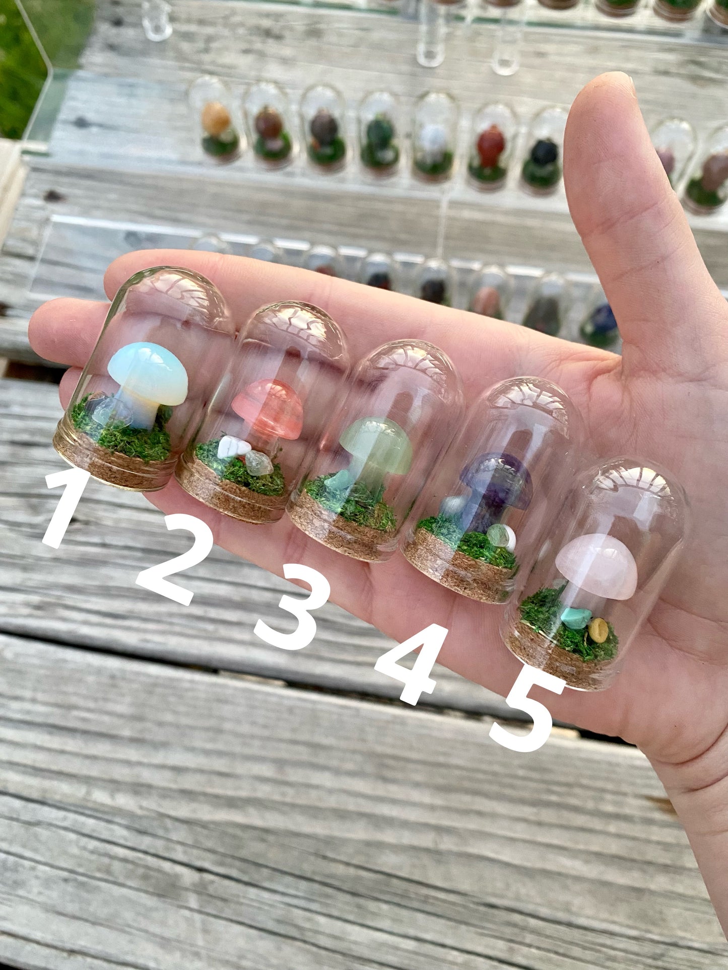 Mini Crystal Mushroom Terrariums| Choose Your Mushroom
