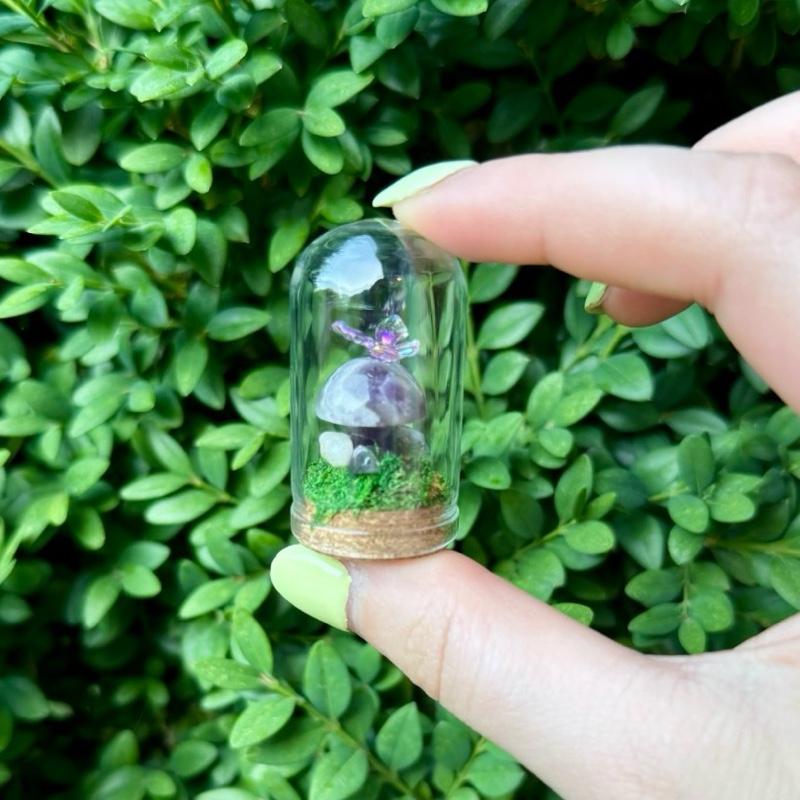Mini Butterfly Crystal Mushroom Terrariums| Choose Your Mushroom With Matching Butterfly Decor