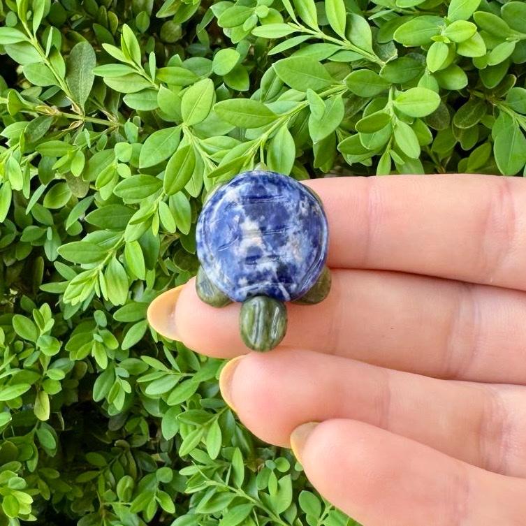 Crystal Turtle Carvings | Serpentine body With other Material Shells