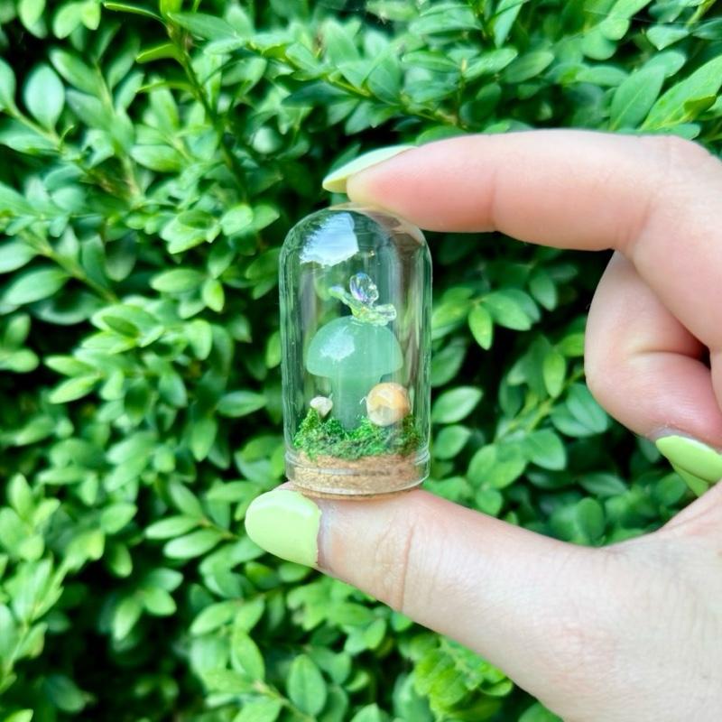 Mini Butterfly Crystal Mushroom Terrariums| Choose Your Mushroom With Matching Butterfly Decor
