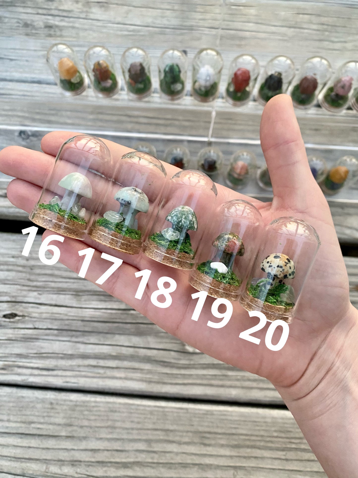 Mini Crystal Mushroom Terrariums| Choose Your Mushroom
