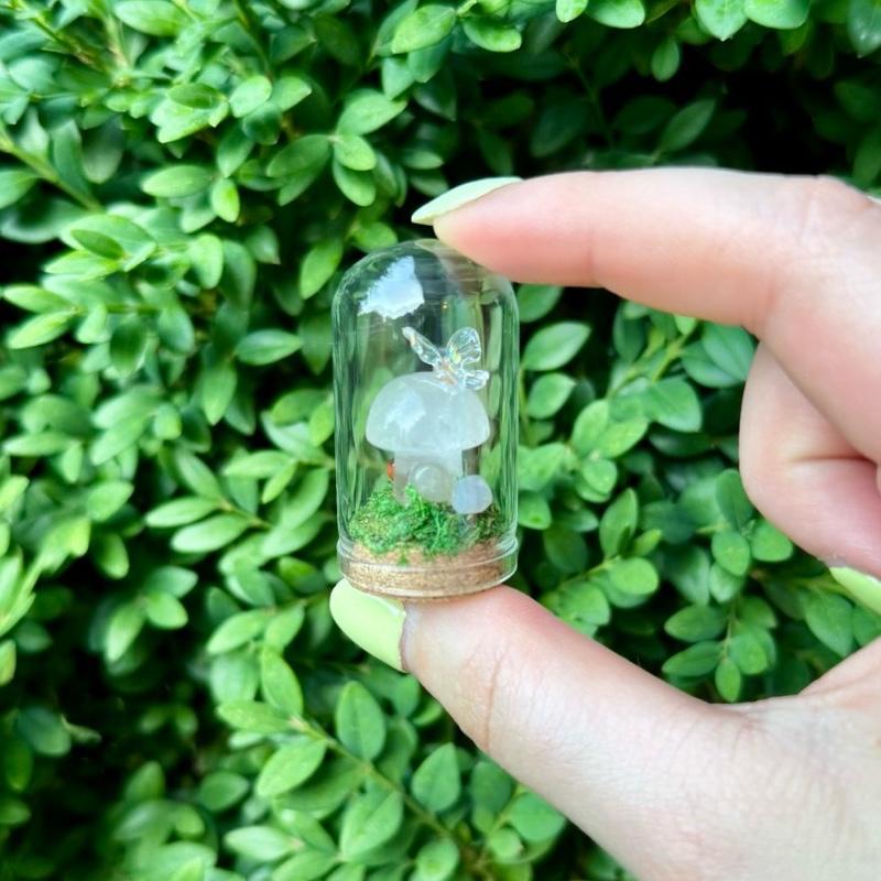 Mini Butterfly Crystal Mushroom Terrariums| Choose Your Mushroom With Matching Butterfly Decor