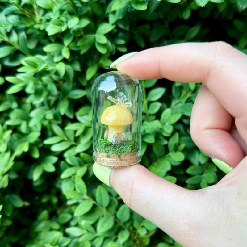 Mini Butterfly Crystal Mushroom Terrariums| Choose Your Mushroom With Matching Butterfly Decor