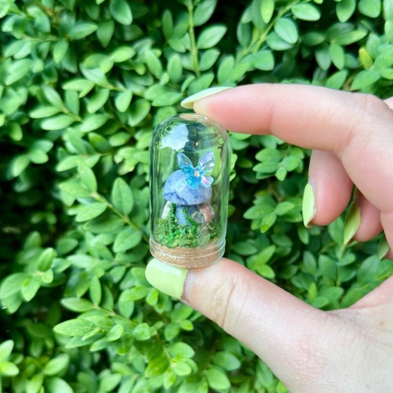Mini Butterfly Crystal Mushroom Terrariums| Choose Your Mushroom With Matching Butterfly Decor