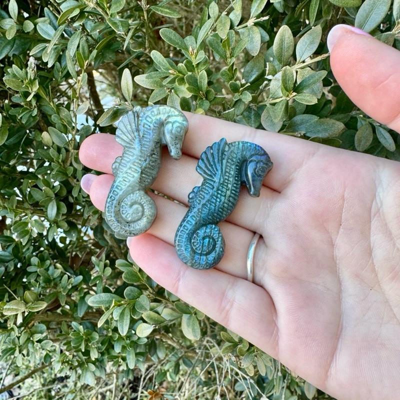 One Labradorite Carving| Fairies| Pegasus| Butterflies