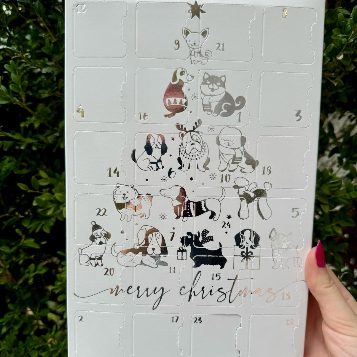 Crystal Carving Holiday Advent Calendar