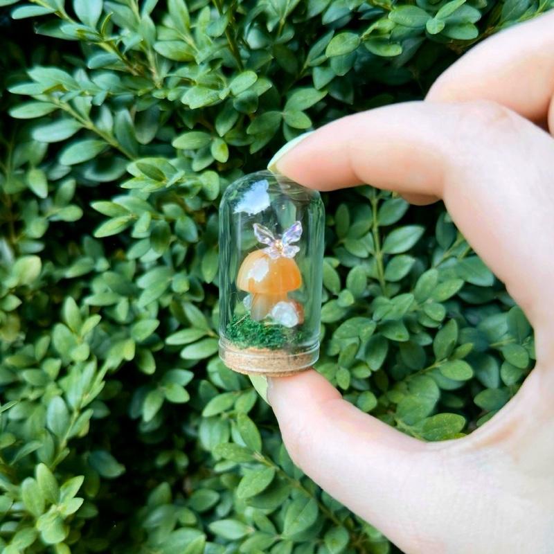 Mini Butterfly Crystal Mushroom Terrariums| Choose Your Mushroom With Matching Butterfly Decor