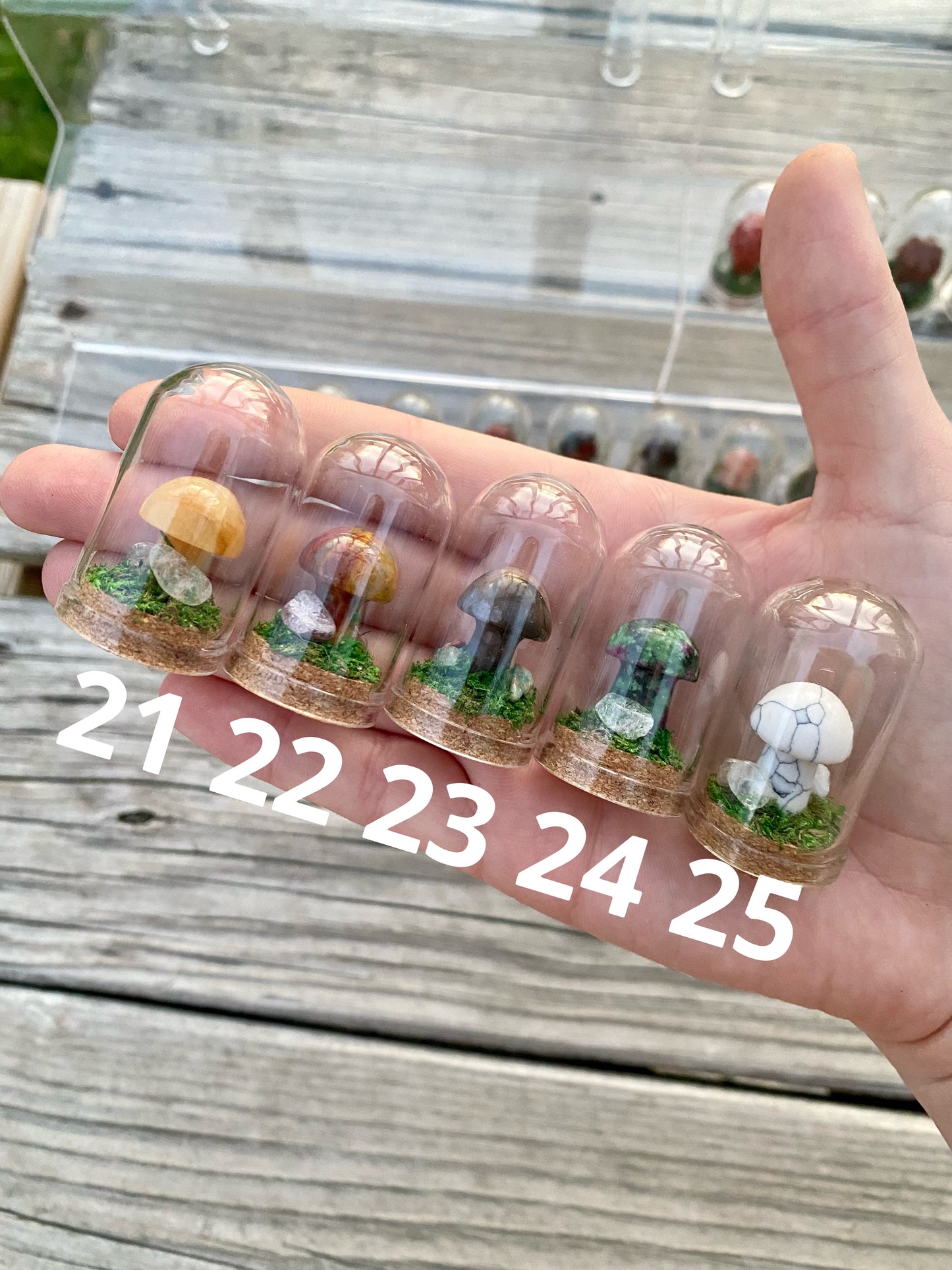 Mini Crystal Mushroom Terrariums| Choose Your Mushroom