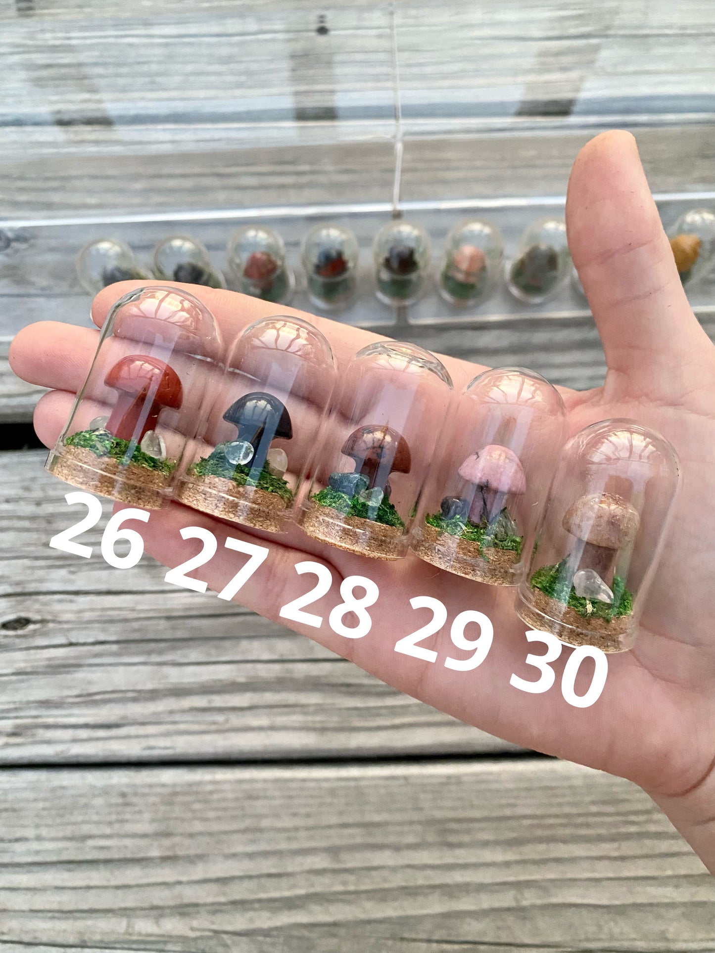 Mini Crystal Mushroom Terrariums| Choose Your Mushroom