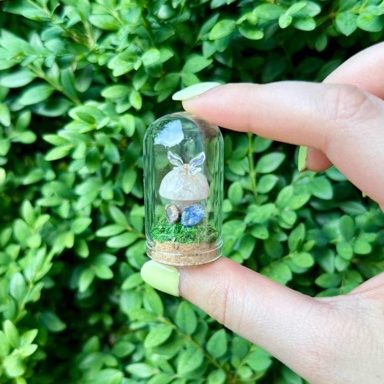 Mini Butterfly Crystal Mushroom Terrariums| Choose Your Mushroom With Matching Butterfly Decor