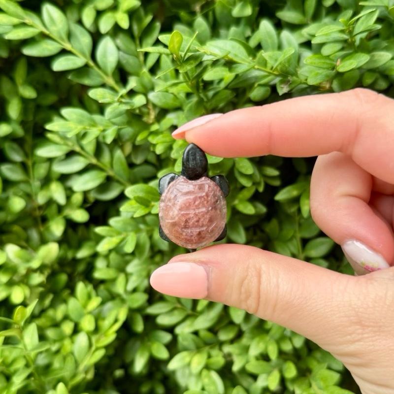 Crystal Turtle Carvings | Serpentine body With other Material Shells