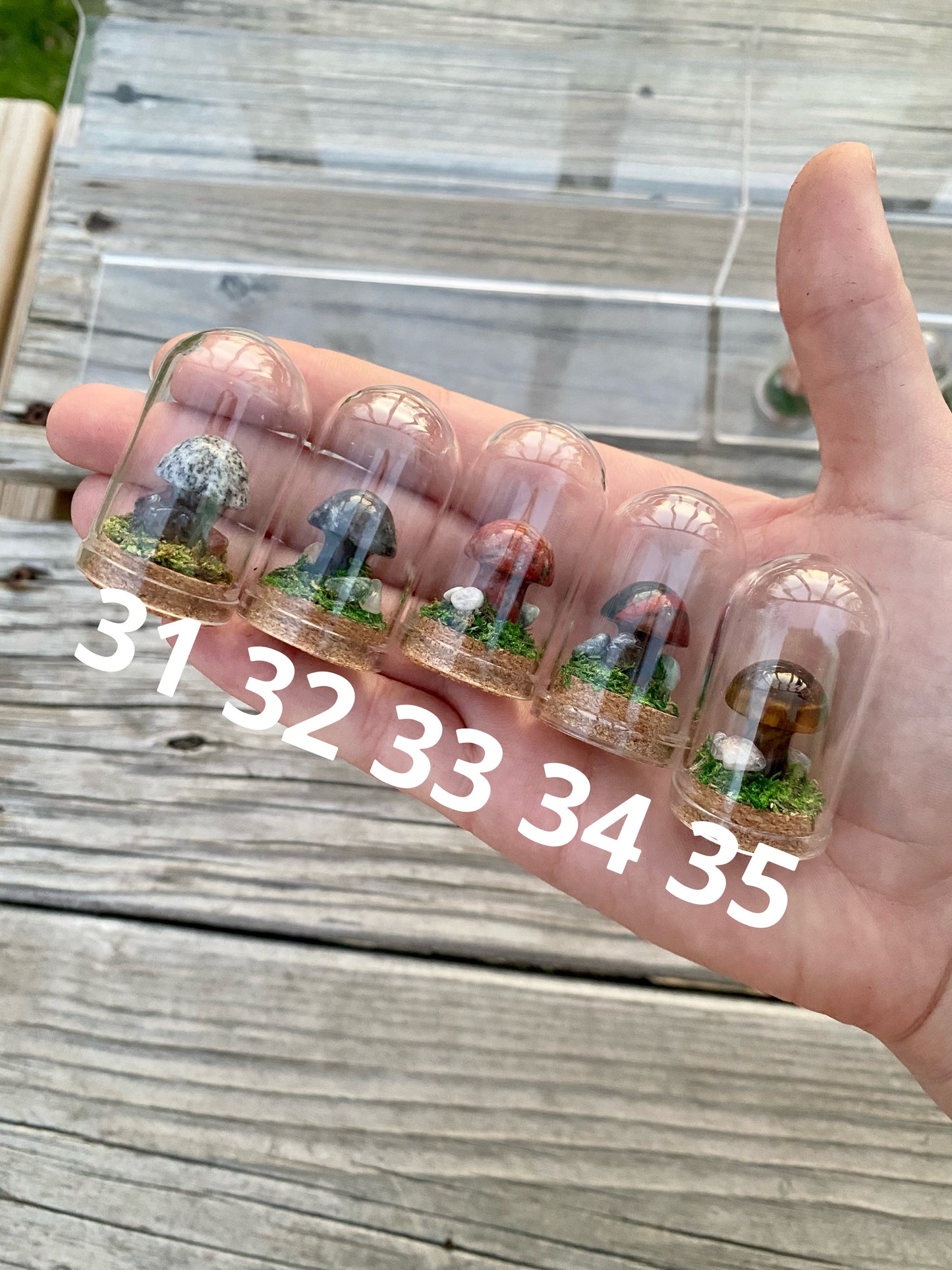 Mini Crystal Mushroom Terrariums| Choose Your Mushroom