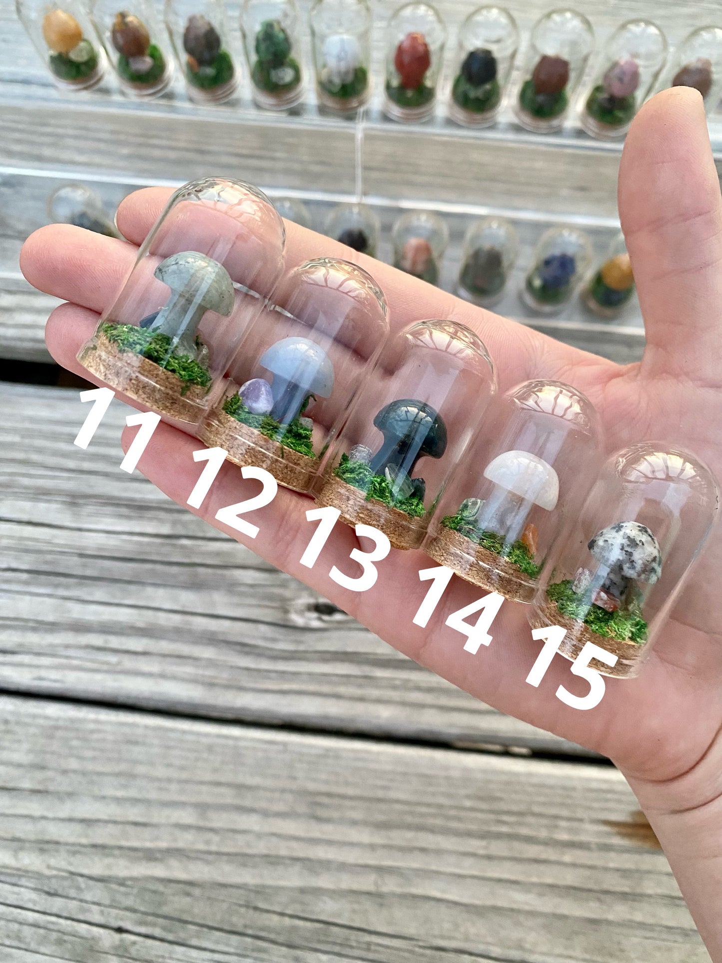 Mini Crystal Mushroom Terrariums| Choose Your Mushroom