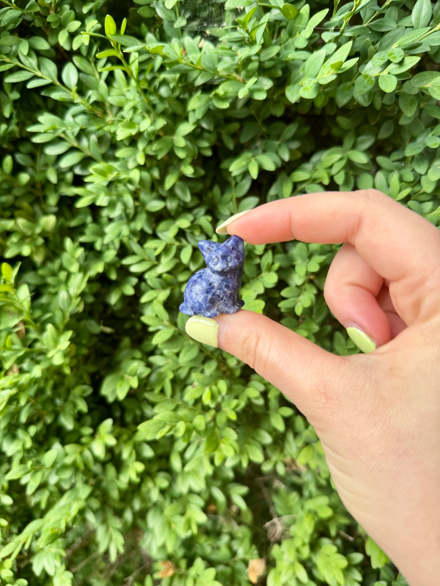 Mini Crystal Cat Carvings| Choose Your Material| One Piece