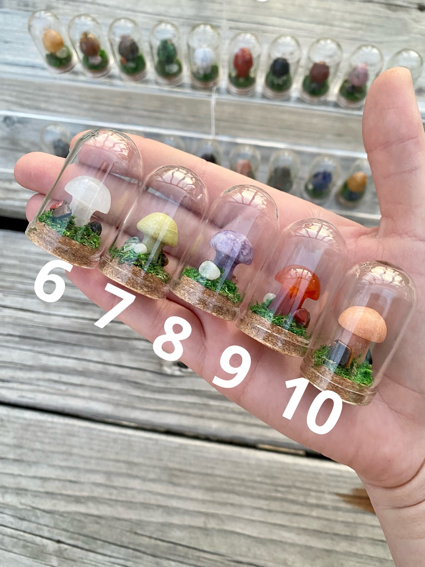 Mini Crystal Mushroom Terrariums| Choose Your Mushroom
