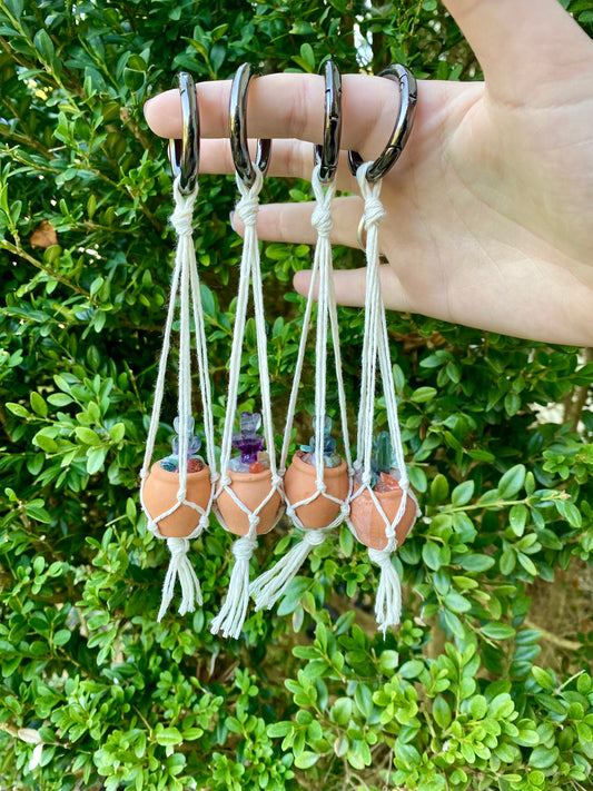 Mini Fluorite Cactus Macrame Rear View Mirror Plant Hanger | Rainbow Fluorite Cactus