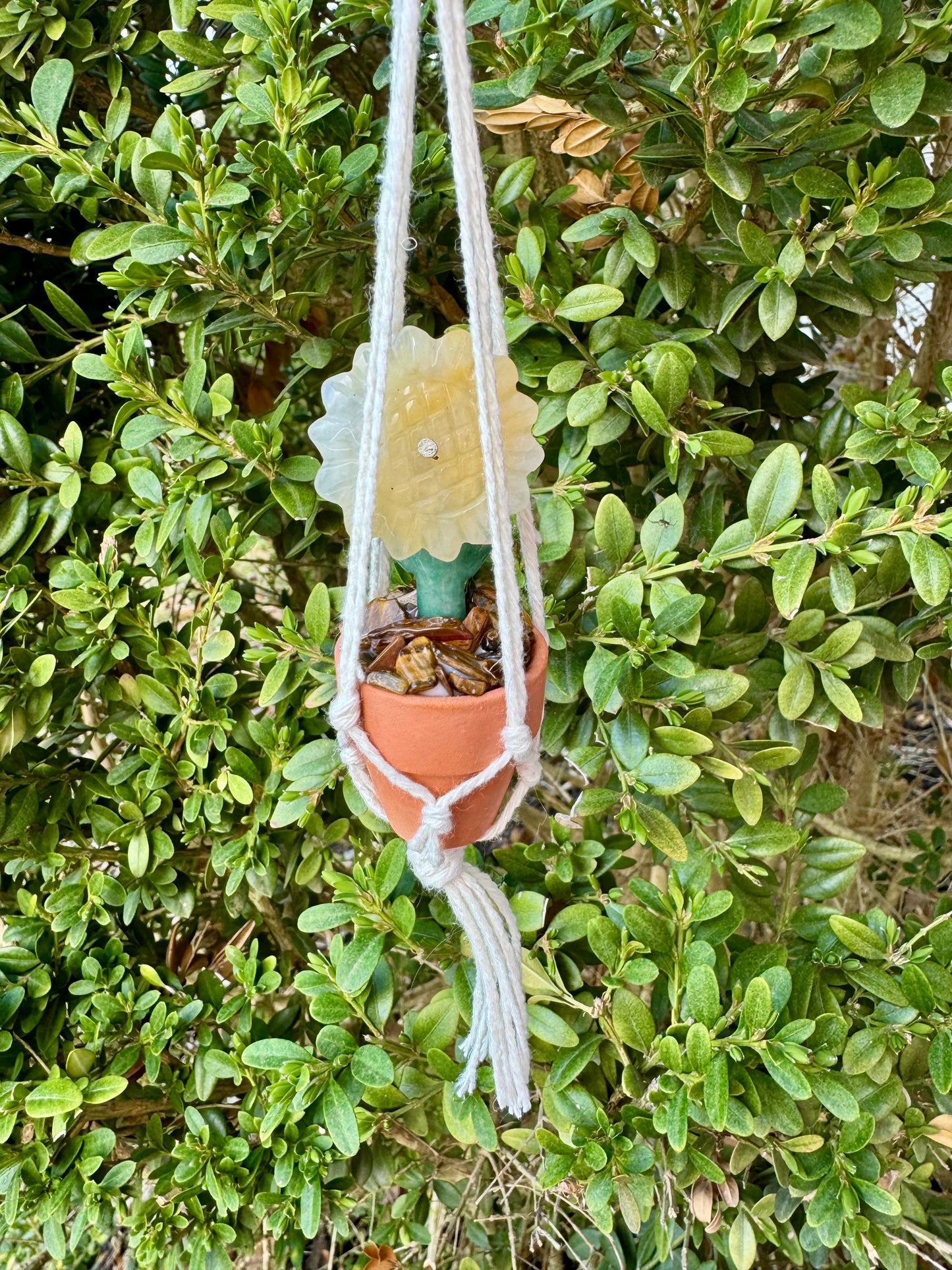 Crystal Sunflower Plant Macrame Hanger| Yellow Aventurine Flower| Green Aventurine Stem| Tigers Eye Dirt