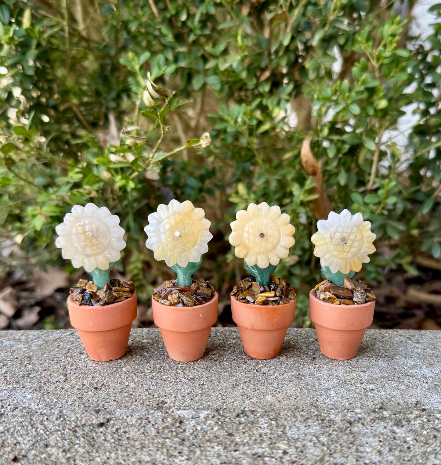 Crystal Sunflower Plant Macrame Hanger| Yellow Aventurine Flower| Green Aventurine Stem| Tigers Eye Dirt