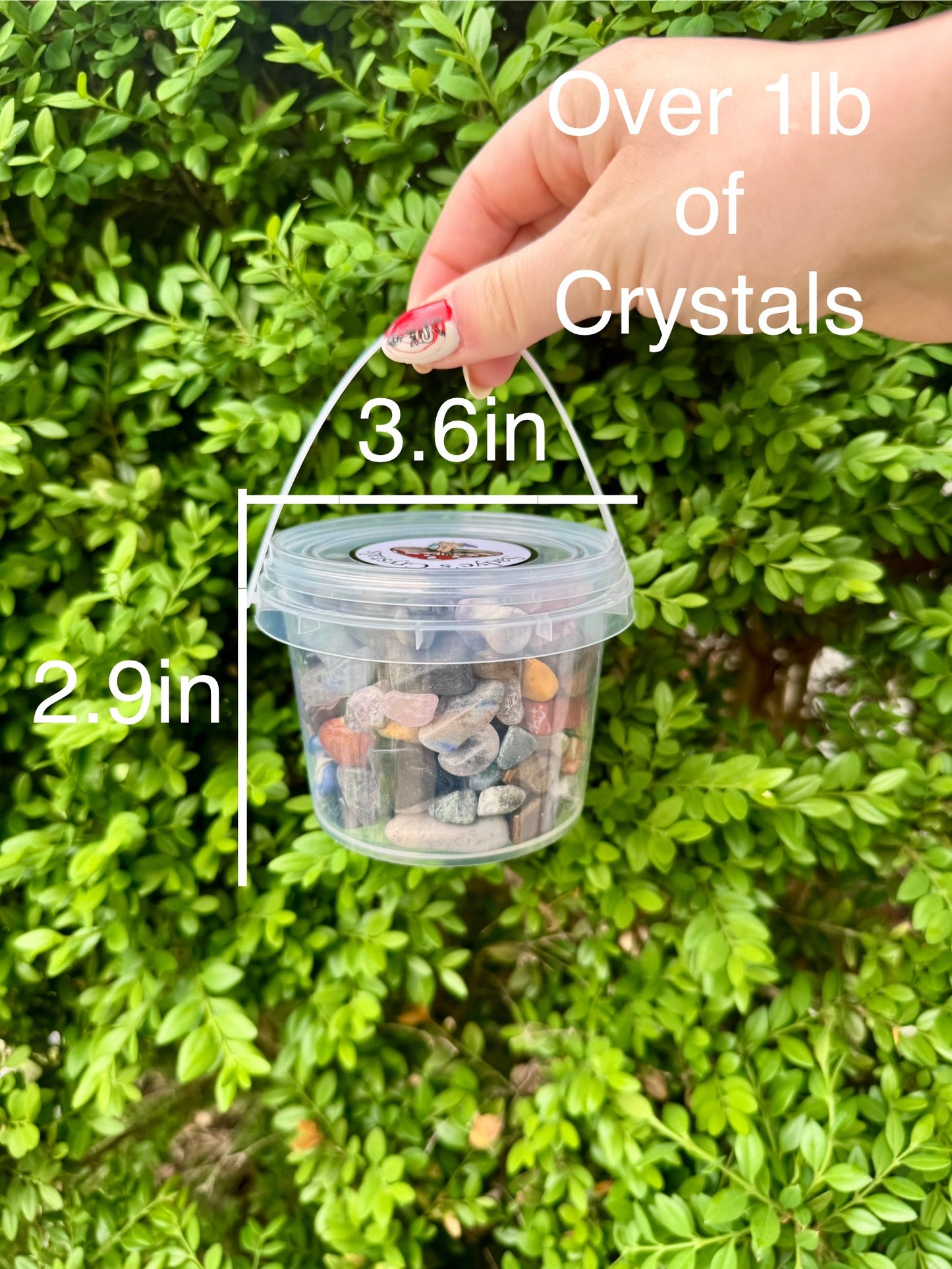 Crystal Confetti Bucket| Mini Mushrooms| Mini Carvings| Tumbles