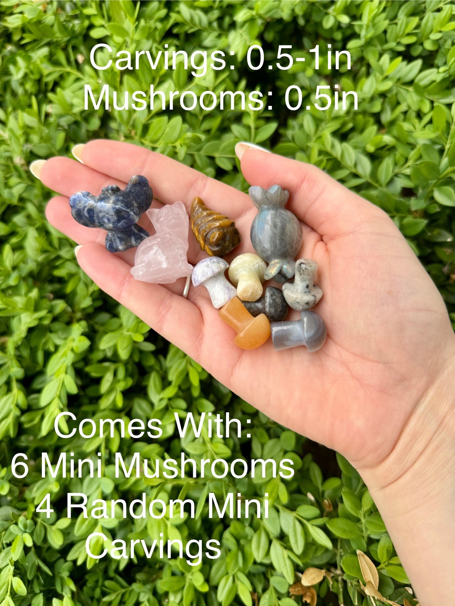 Crystal Confetti Bucket| Mini Mushrooms| Mini Carvings| Tumbles