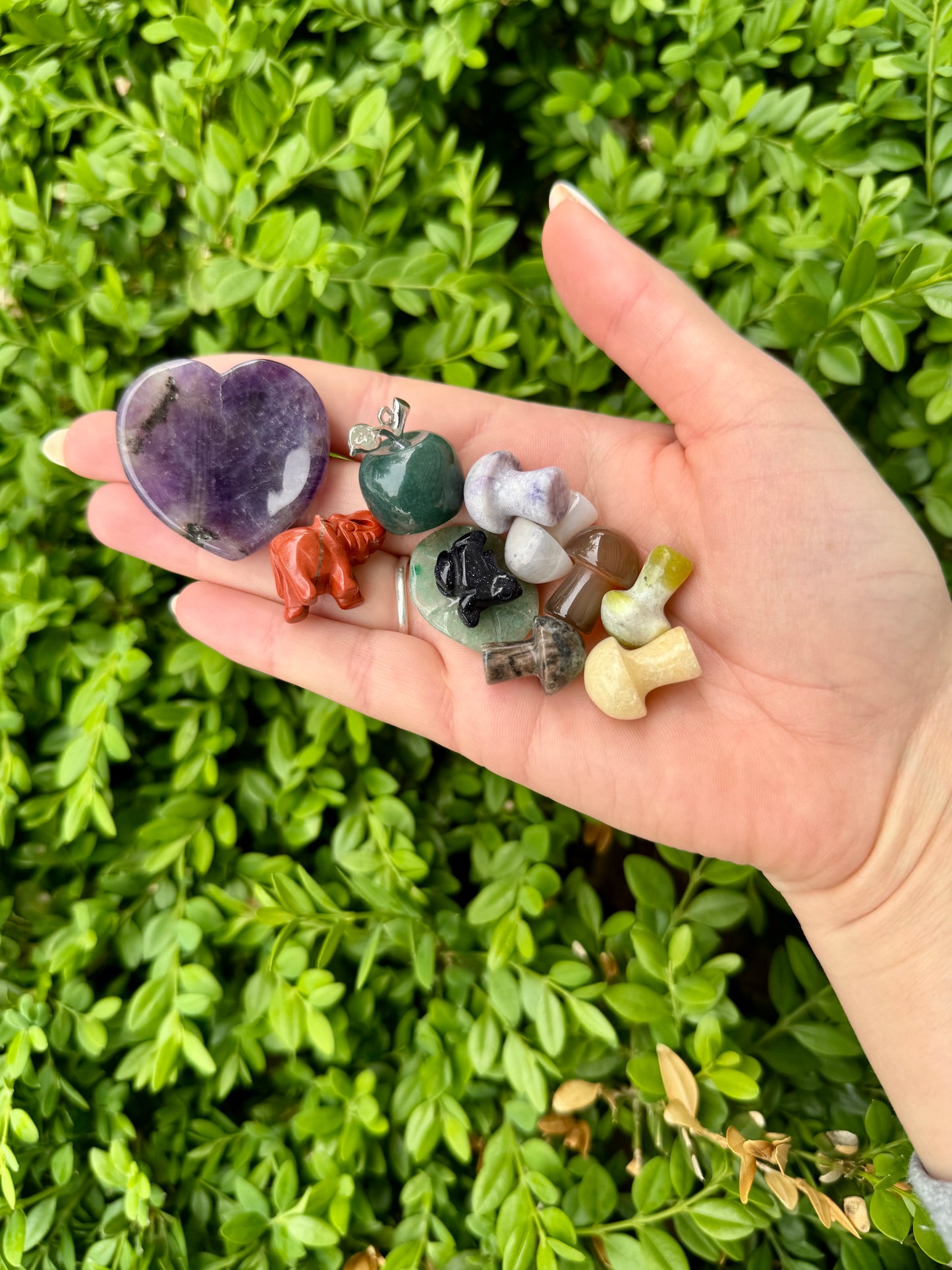 Crystal Confetti Bucket| Mini Mushrooms| Mini Carvings| Tumbles