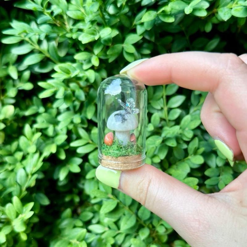 Mini Butterfly Crystal Mushroom Terrariums| Choose Your Mushroom With Matching Butterfly Decor