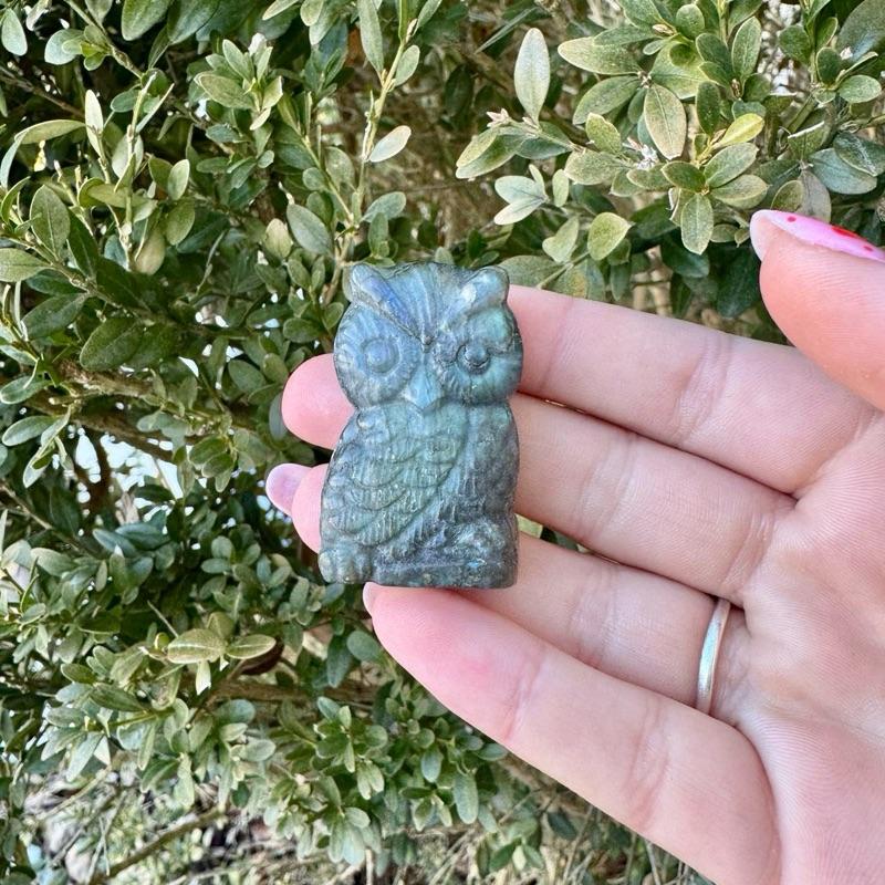 One Labradorite Carving| Fairies| Pegasus| Butterflies