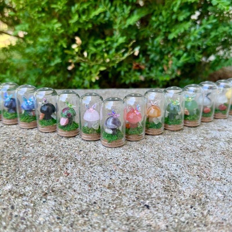 Mini Butterfly Crystal Mushroom Terrariums| Choose Your Mushroom With Matching Butterfly Decor