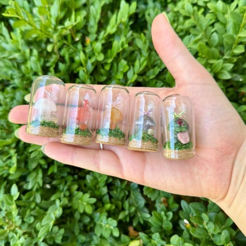 Mini Butterfly Crystal Mushroom Terrariums| Choose Your Mushroom With Matching Butterfly Decor