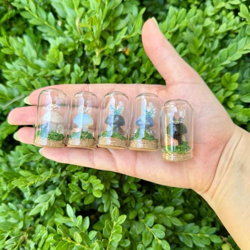 Mini Butterfly Crystal Mushroom Terrariums| Choose Your Mushroom With Matching Butterfly Decor