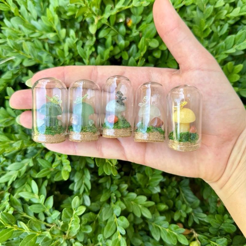 Mini Butterfly Crystal Mushroom Terrariums| Choose Your Mushroom With Matching Butterfly Decor