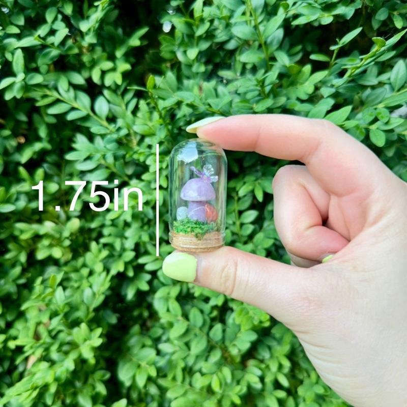 Mini Butterfly Crystal Mushroom Terrariums| Choose Your Mushroom With Matching Butterfly Decor