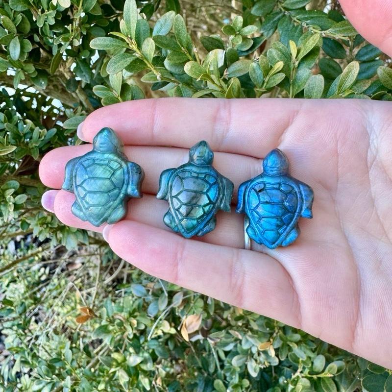 One Labradorite Carving| Fairies| Pegasus| Butterflies