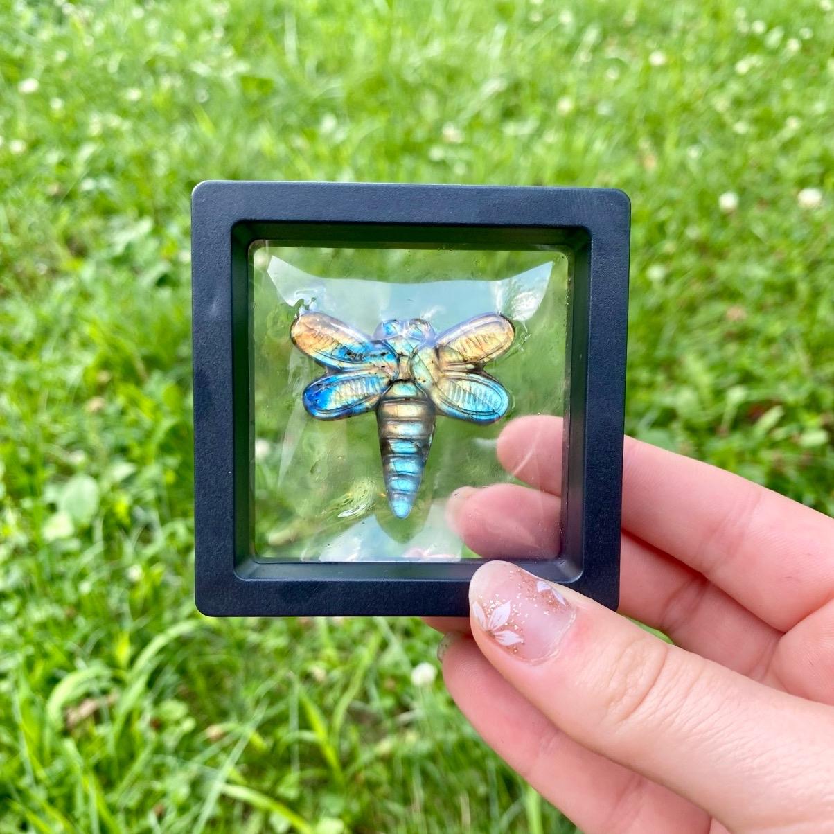 One Labradorite Carving| Fairies| Pegasus| Butterflies