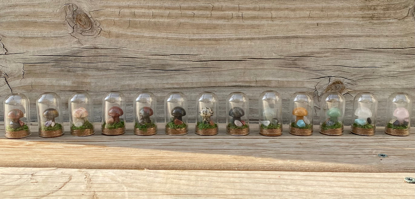 Terrarium Crystal Mushrooms