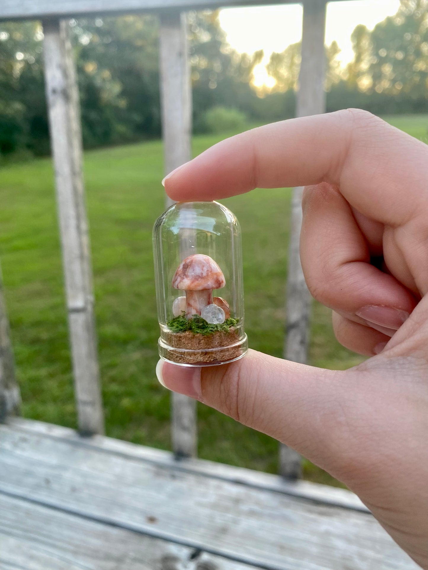 Terrarium Crystal Mushrooms