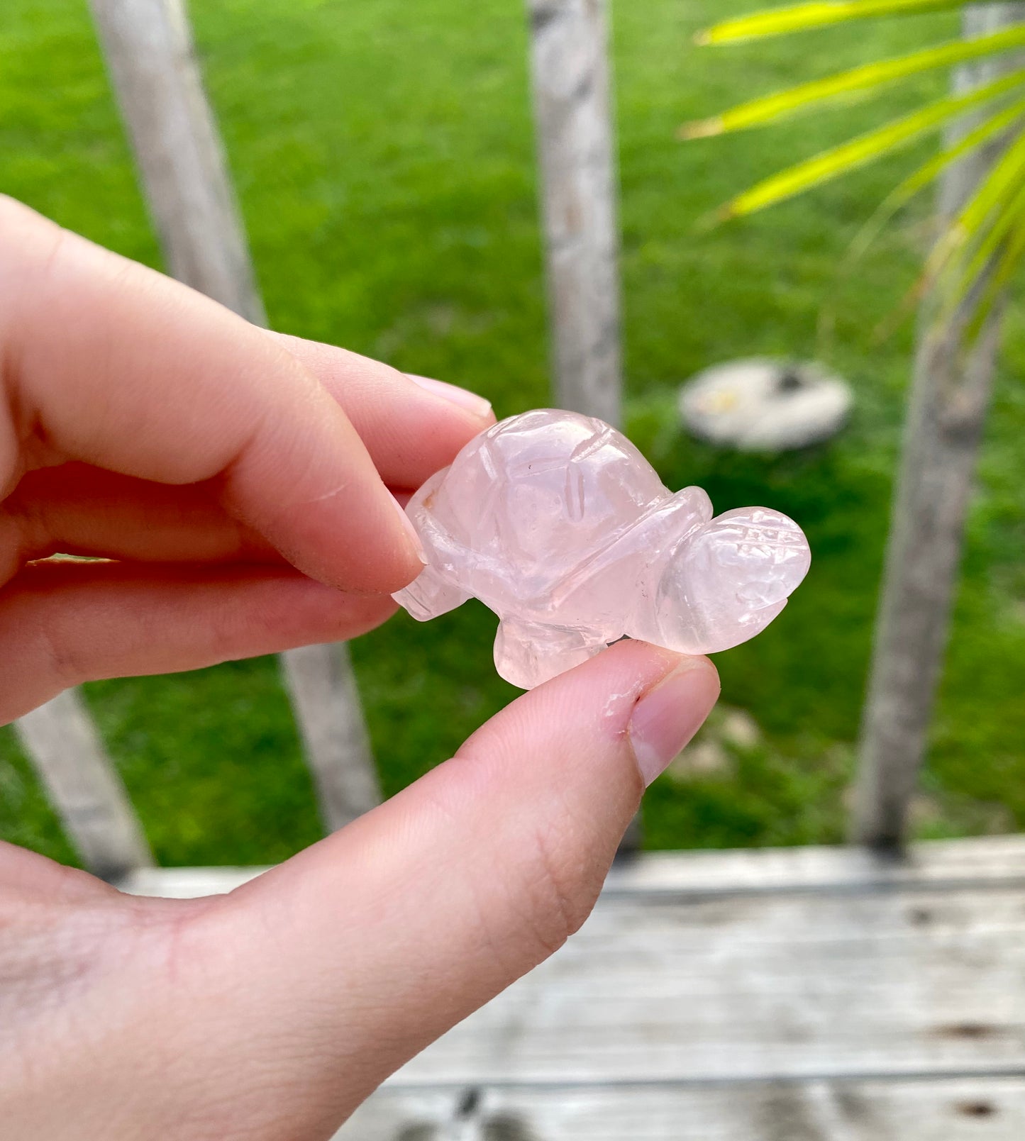 Crystal Turtle Carving