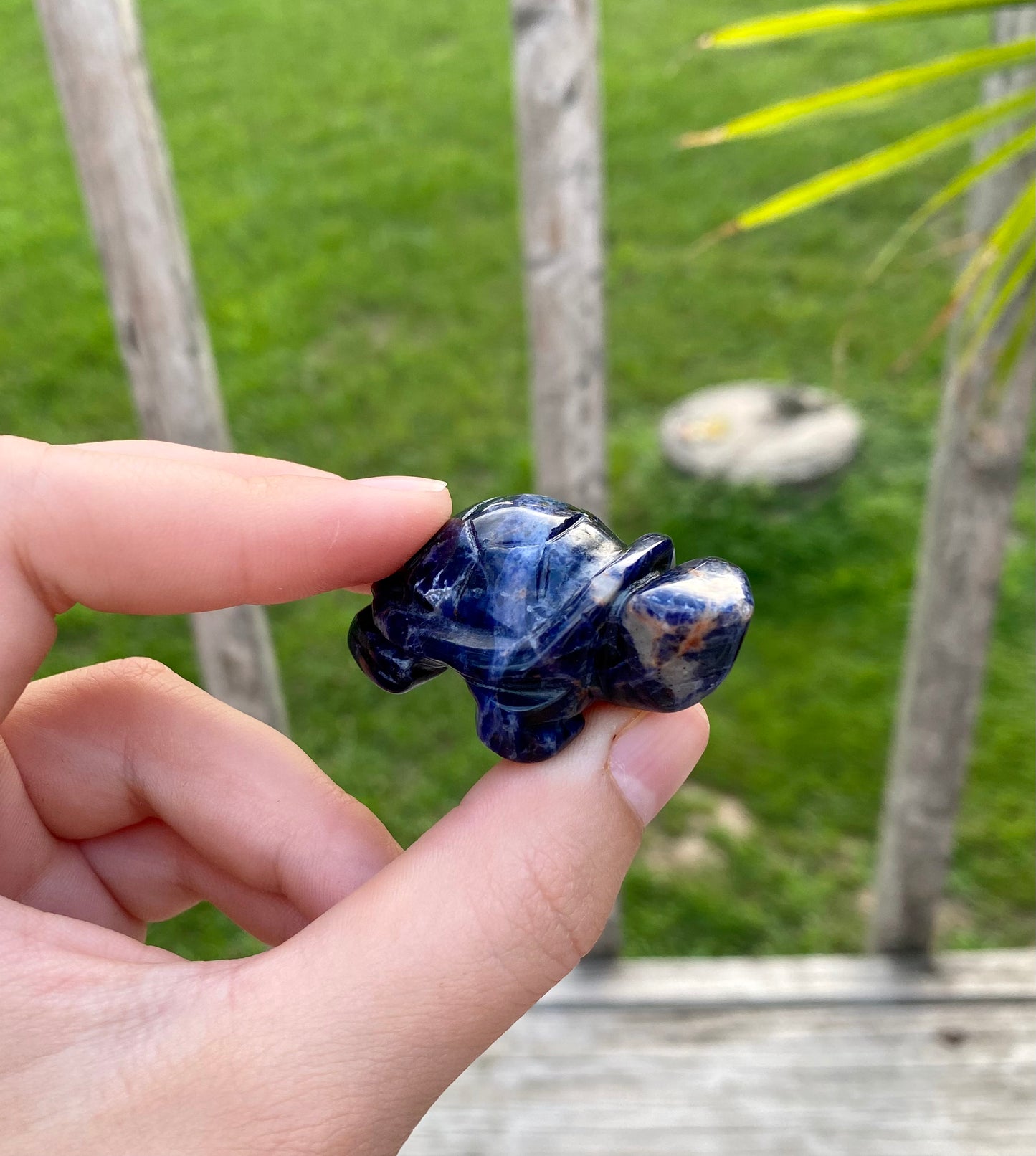 Crystal Turtle Carving