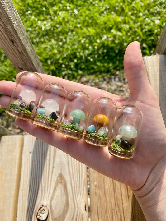 Terrarium Crystal Mushrooms