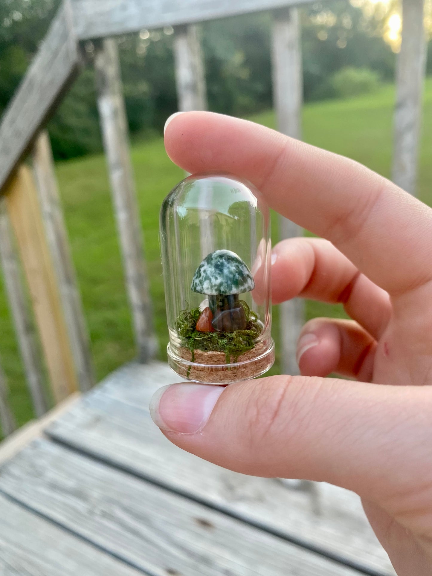 Terrarium Crystal Mushrooms