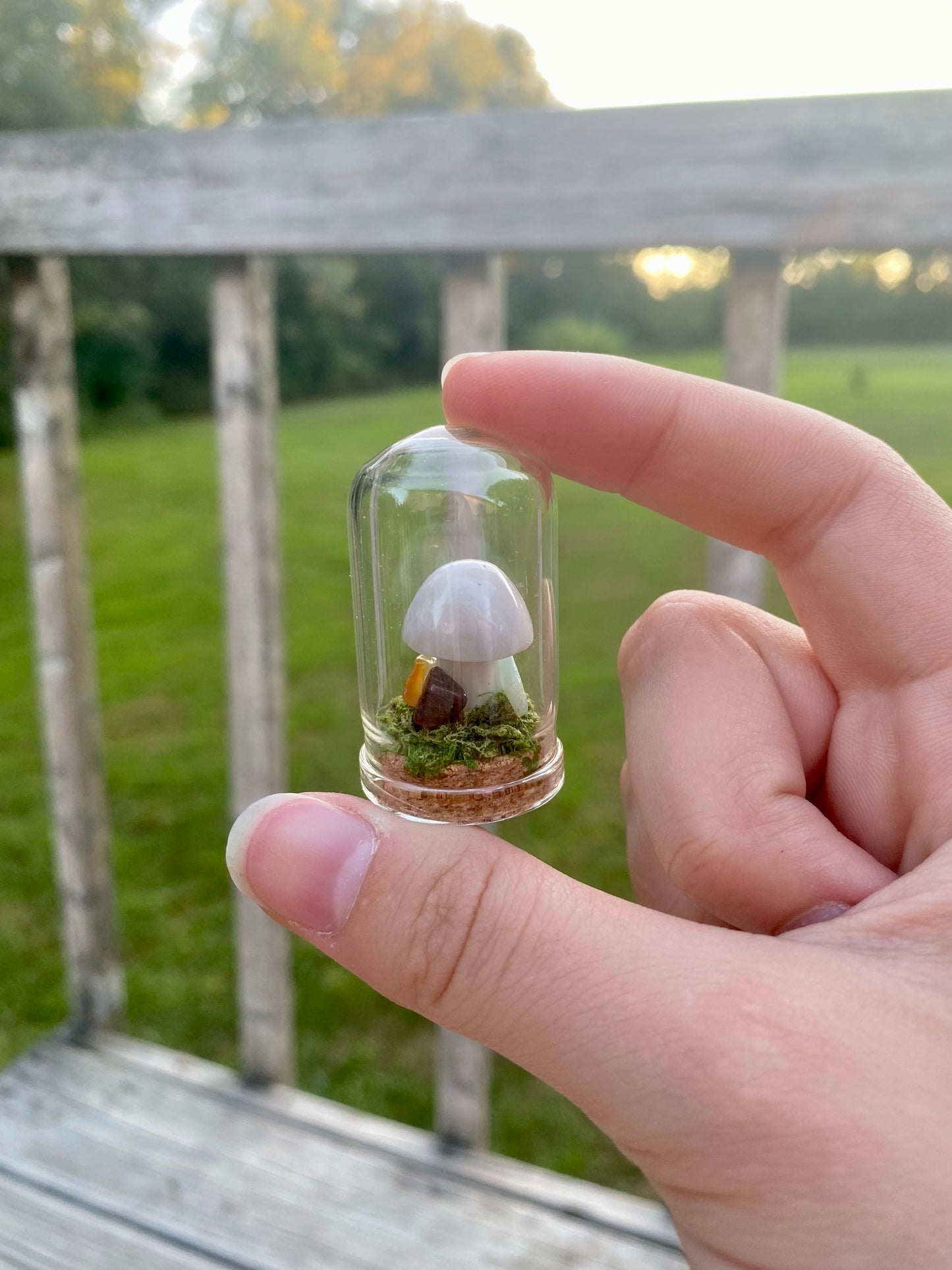 Terrarium Crystal Mushrooms