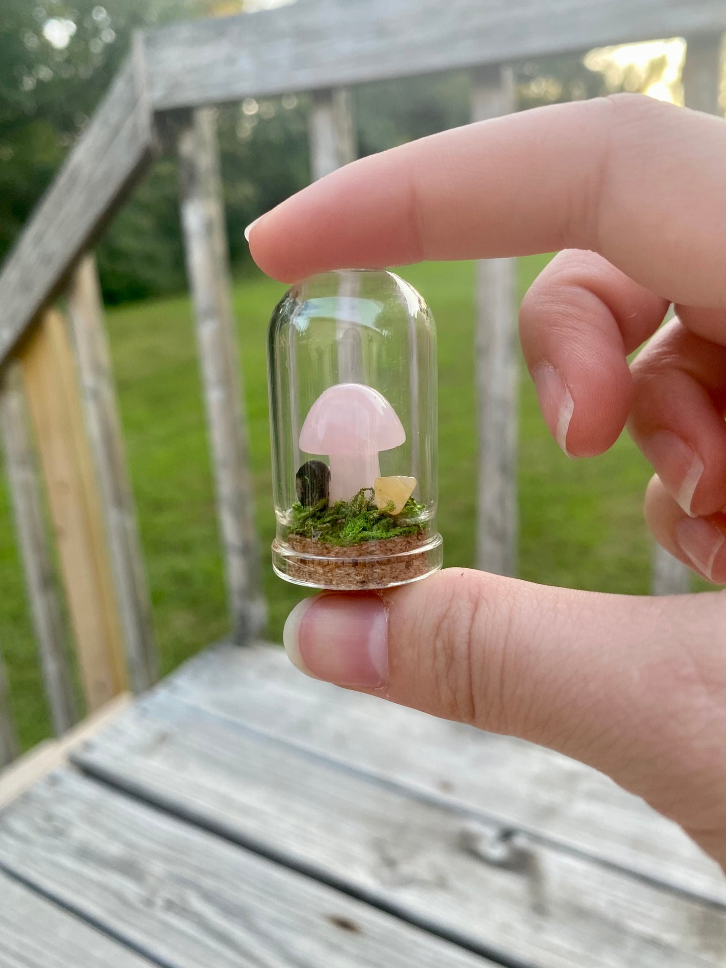 Terrarium Crystal Mushrooms