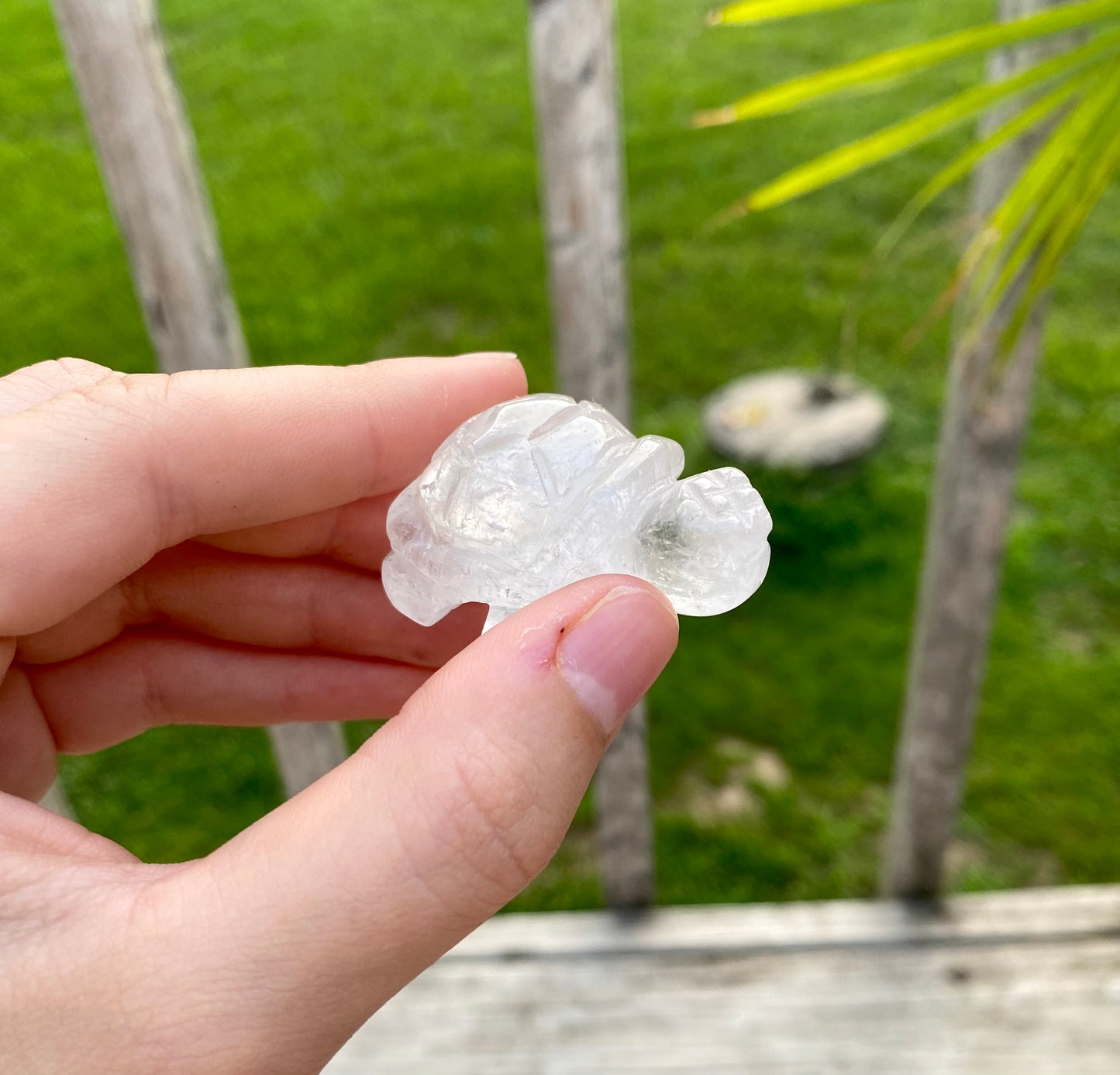 Crystal Turtle Carving