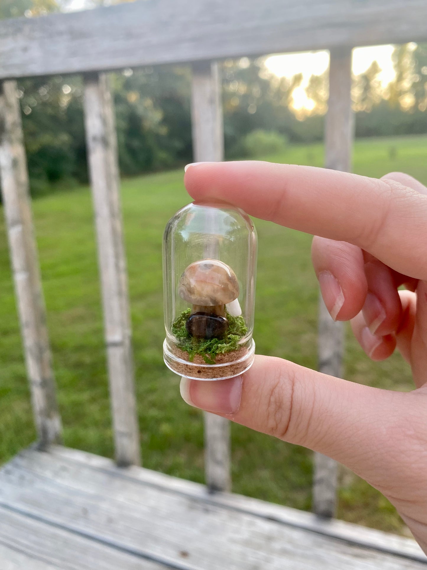 Terrarium Crystal Mushrooms