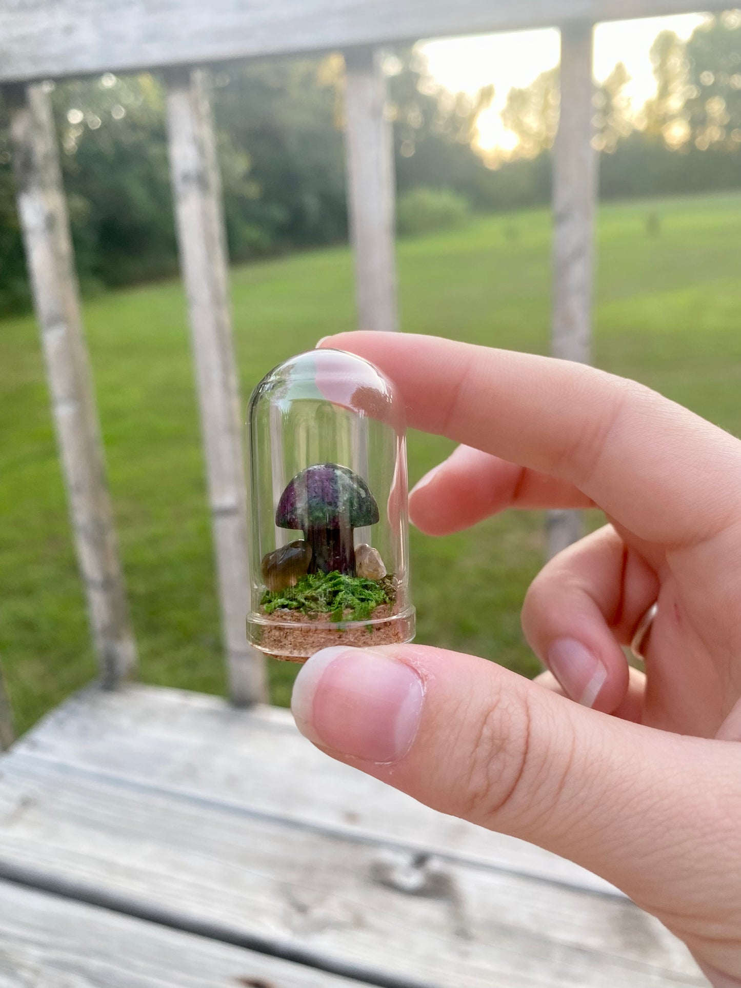 Terrarium Crystal Mushrooms