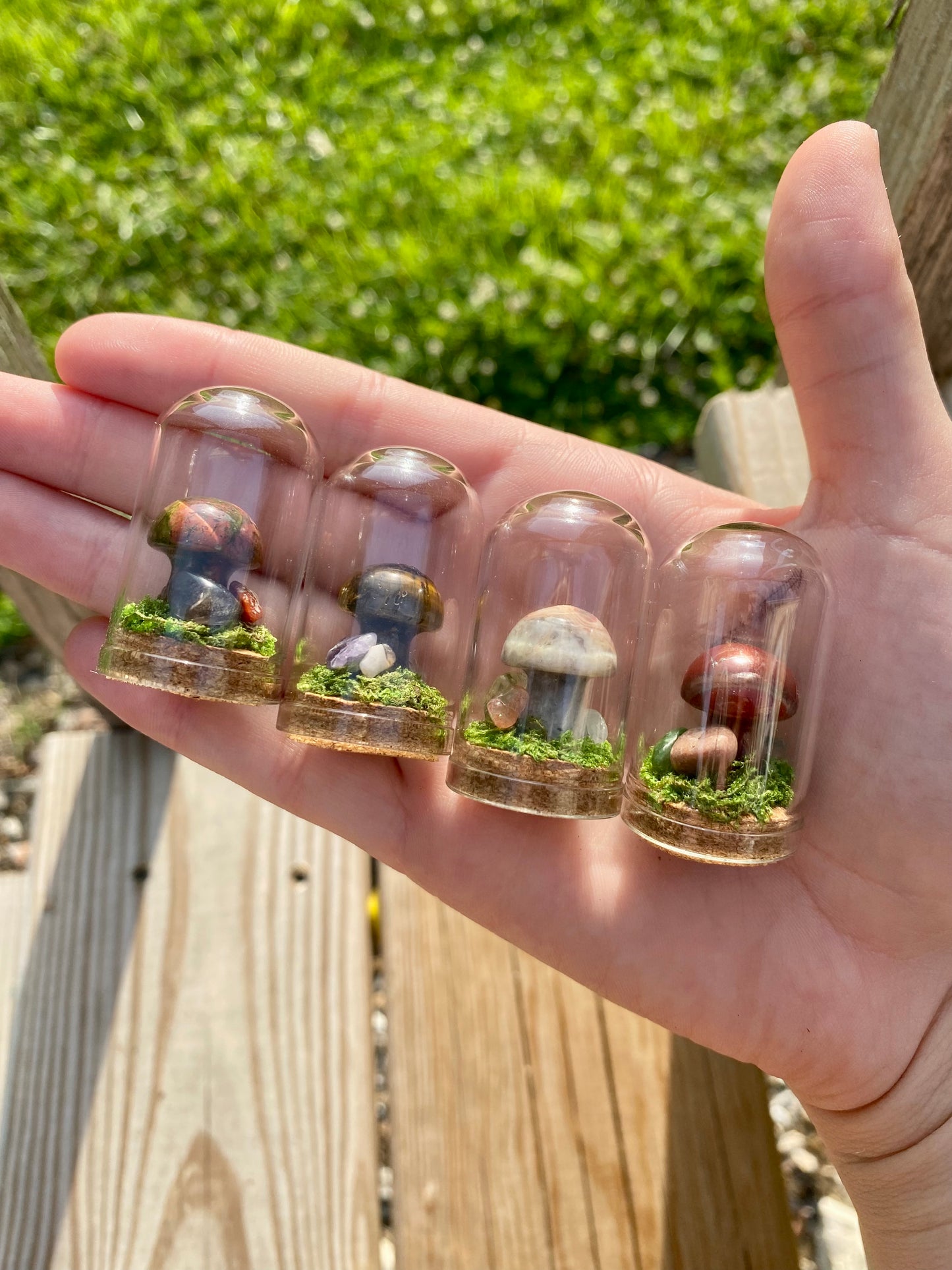 Terrarium Crystal Mushrooms