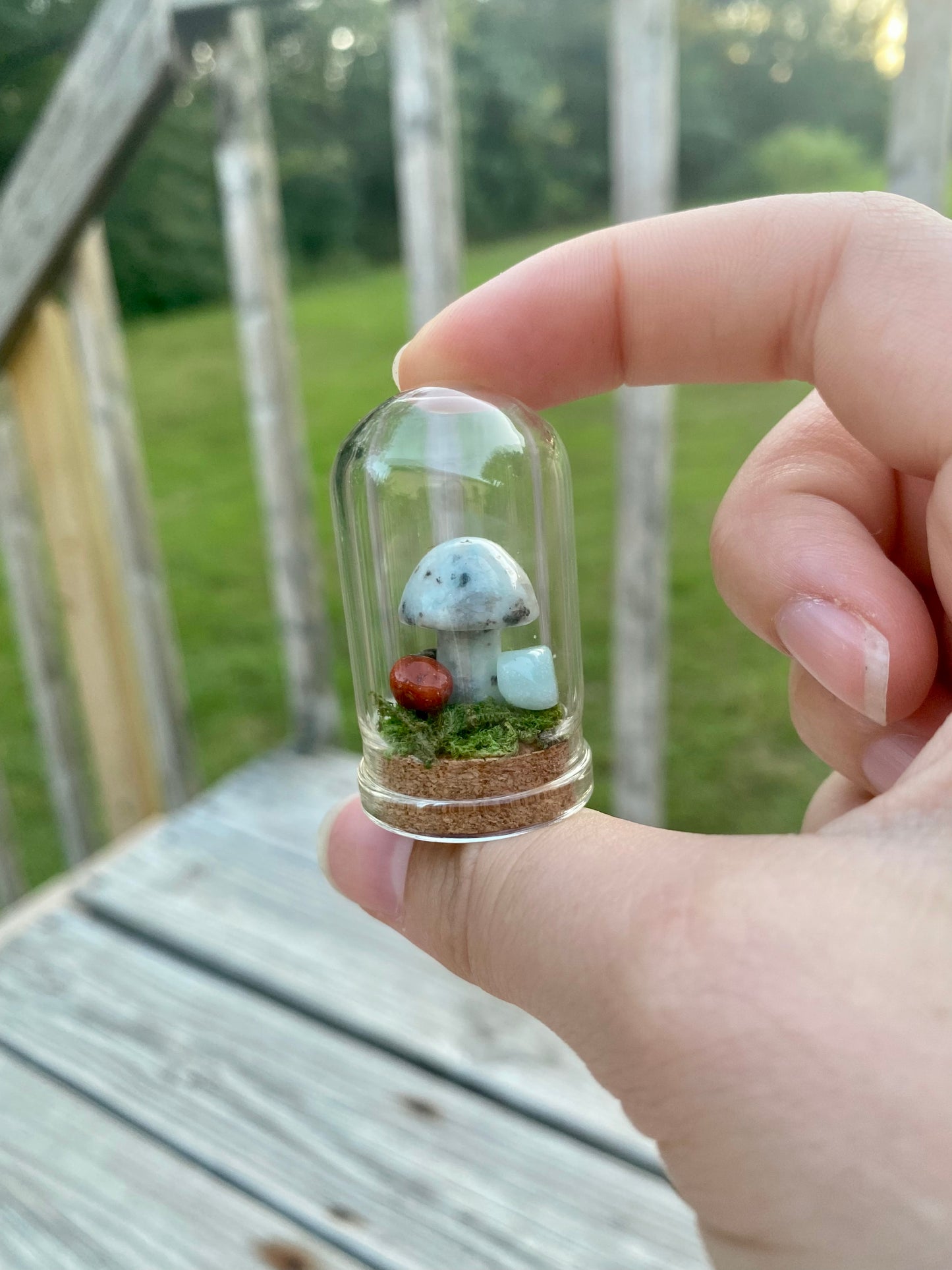 Terrarium Crystal Mushrooms