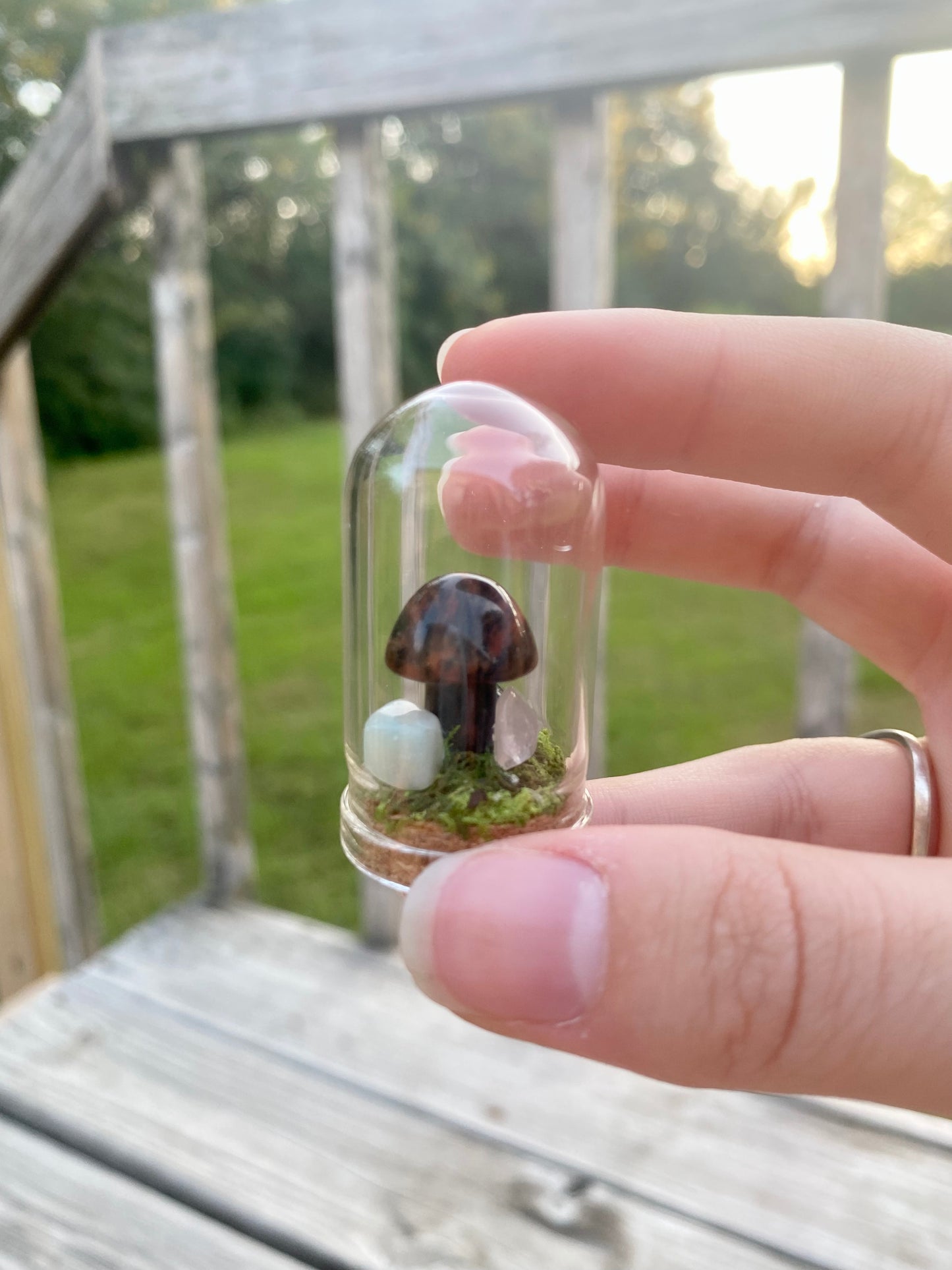 Terrarium Crystal Mushrooms